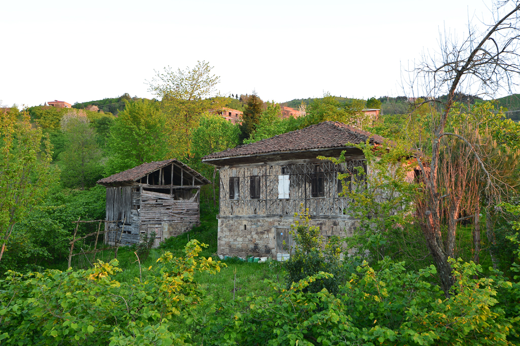 landscape photography,wildlife pictures,manzara resimleri,nikon 200mm